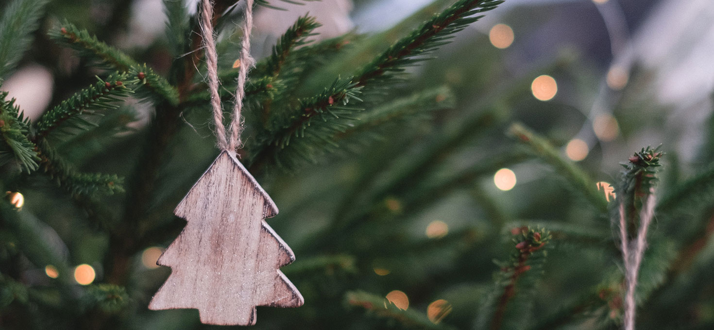 albero di natale da giardino