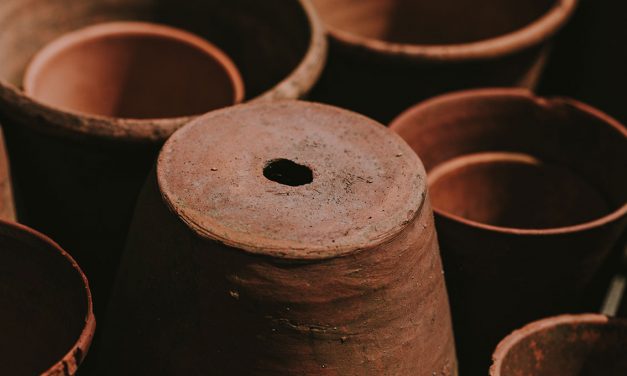 LA NASCITA DEL VASO