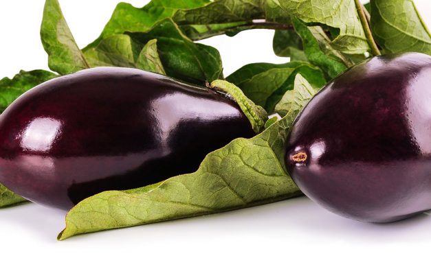 QUALCOSA IN PIU’ SULLA …MELANZANA