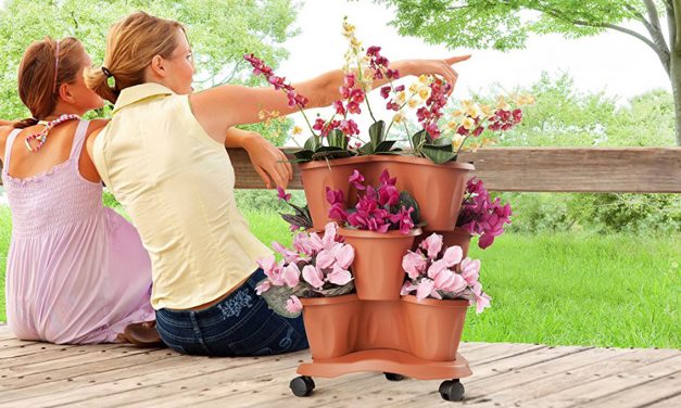 UN GIARDINO VERTICALE