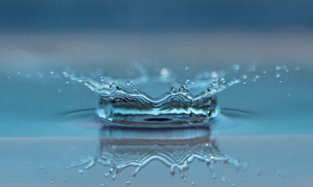 ACQUA Sì, ACQUA NO?