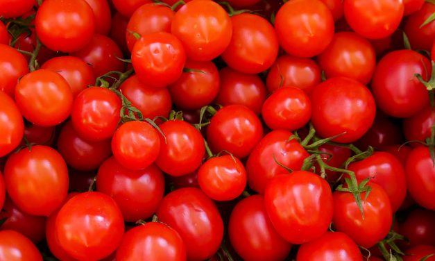 I POMODORI IN VASO