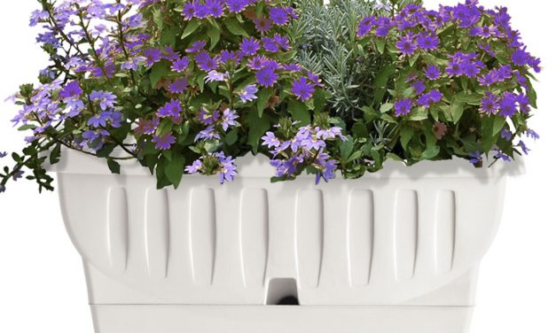 WHITE GARDEN: VASI E FIORIERE PER IL TUO GIARDINO