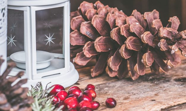 INIZIAMO CON GLI ADDOBI DI NATALE!
