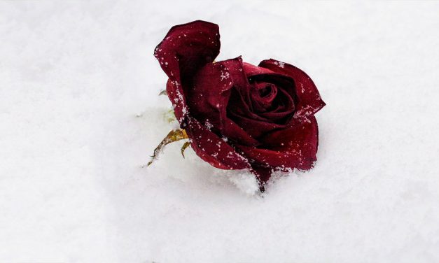 PERCHE’ IL FREDDO FA MALE?