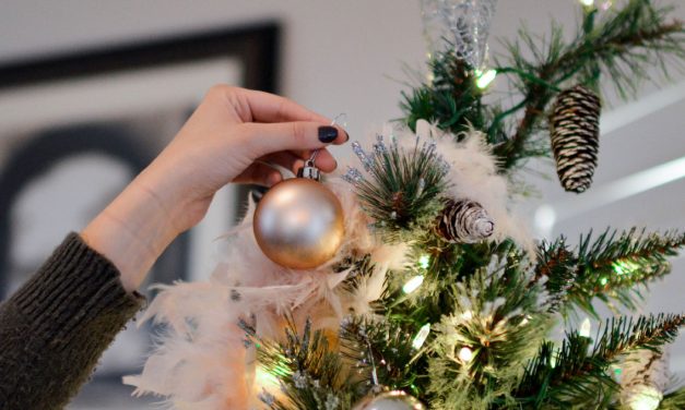 MINI ALBERI DI NATALE