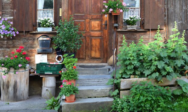 UNA FIORIERA PER L’INGRESSO