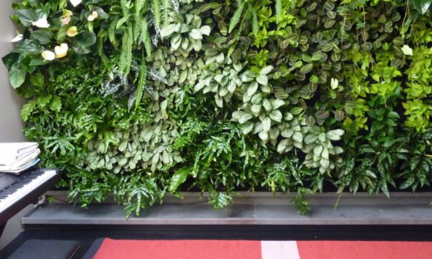 Un giardino in verticale