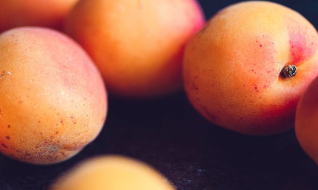Quasi, quasi, semino un frutto!