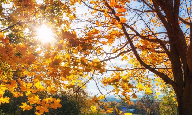 Un autunno molto caldo
